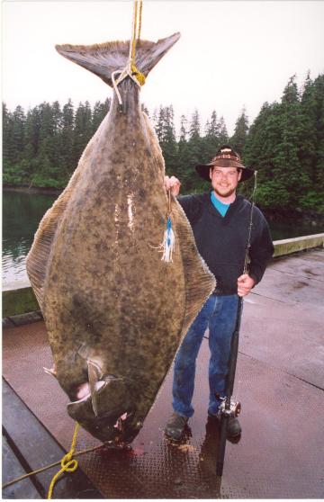 pacific-halibut-record-sizes